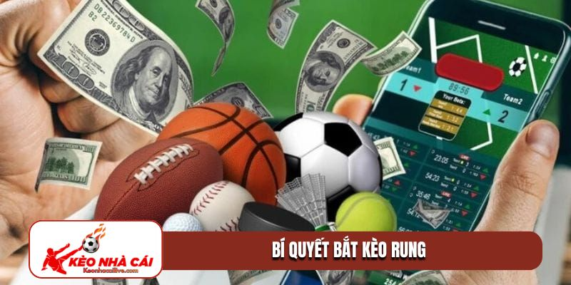 bí quyết bắt kèo rung