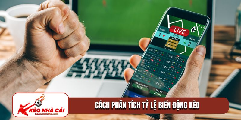 cách phân tích tỷ lệ biến động kèo