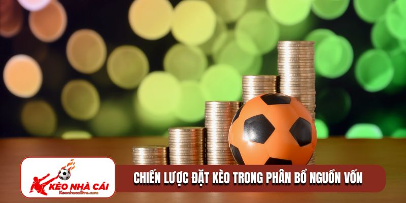 Chiến lược đặt kèo ít nhưng chắc ăn trong phân bổ nguồn vốn