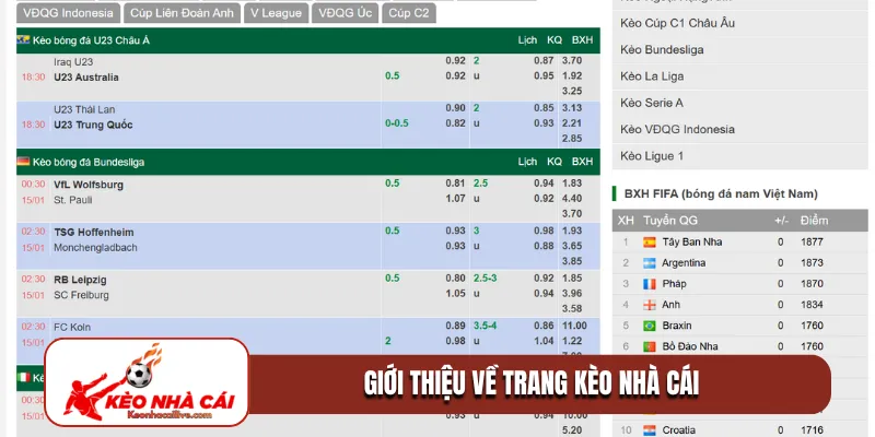 Giới thiệu về trang Kèo Nhà Cái 