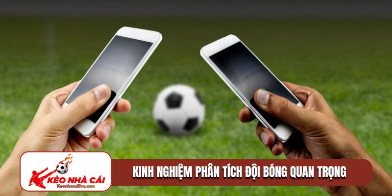 Kinh nghiệm phân tích lực lượng đội bóng quan trọng trong cá cược