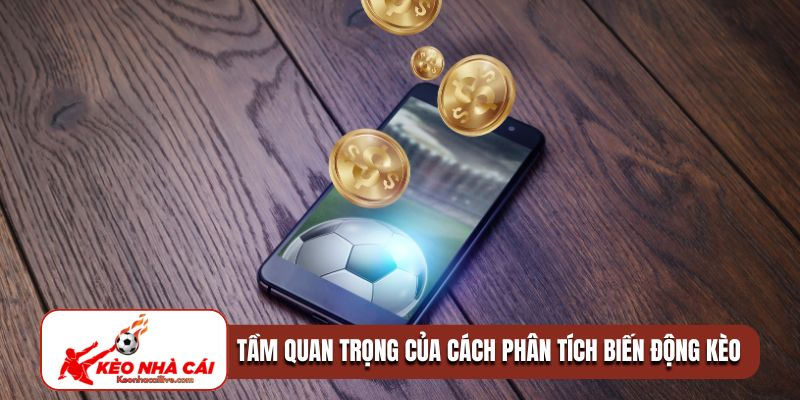 Tầm quan trọng của cách phân tích tỷ lệ biến động kèo