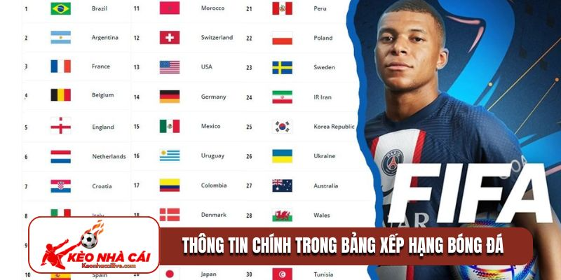 Thông tin chính trong bảng xếp hạng bóng đá