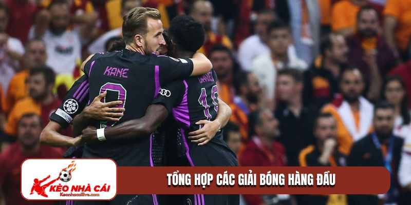 Tổng hợp các giải bóng hàng đầu